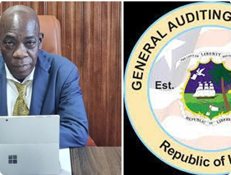 Audit Reports
